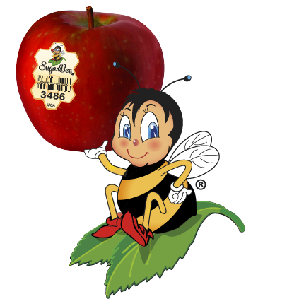 What Is a SugarBee Apple? - Mike's Window